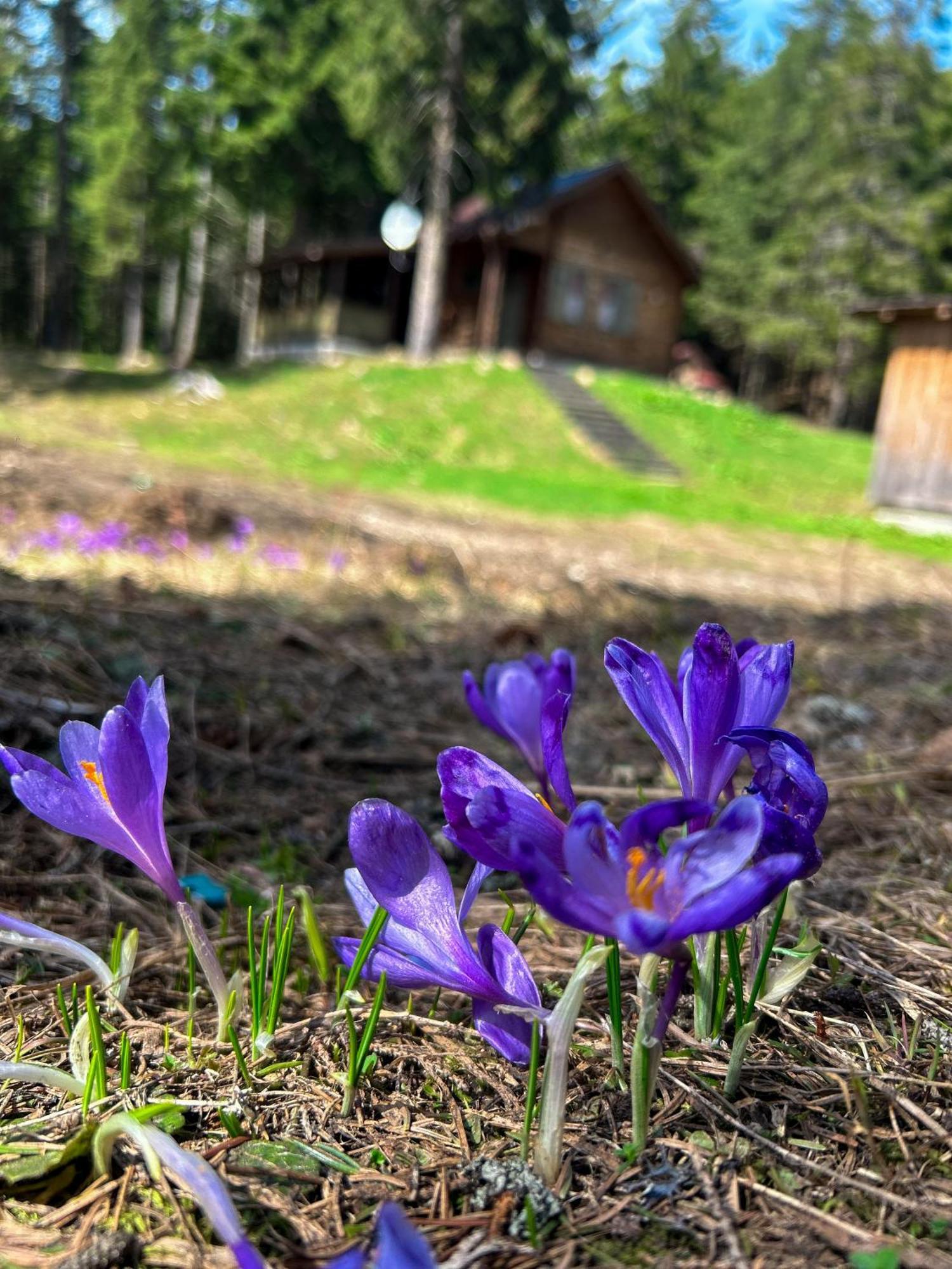 Natura Haziko Извоаре Екстериор снимка